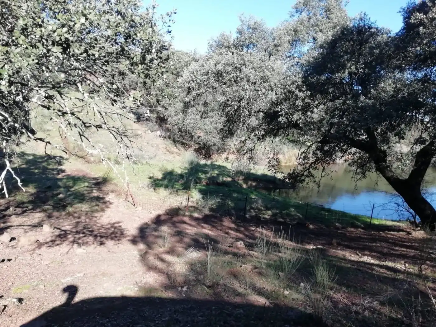 Finca rústica en venda en Almadén de la Plata amb Calefacció i Terrassa