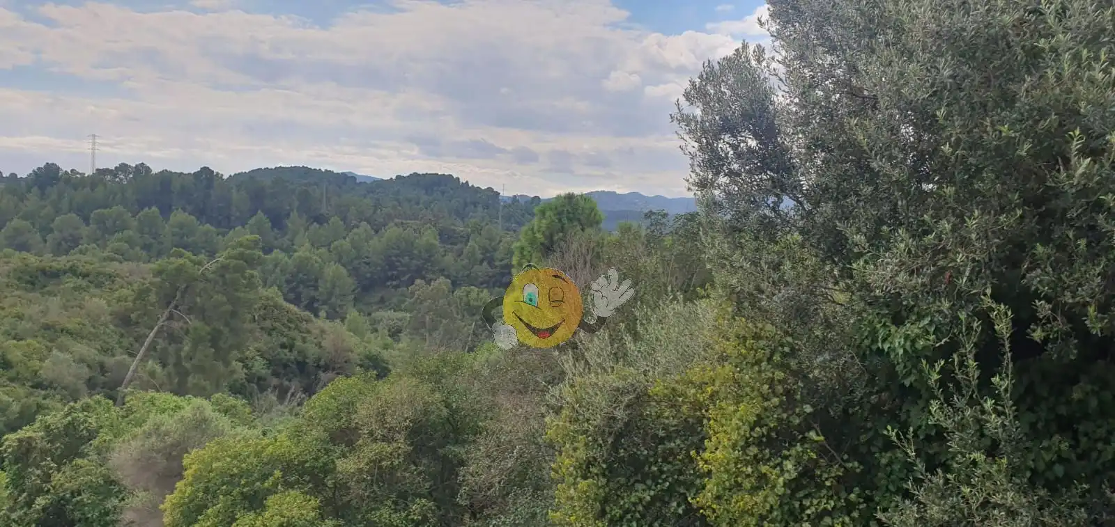 Pis en venda en El Papiol, Barcelona