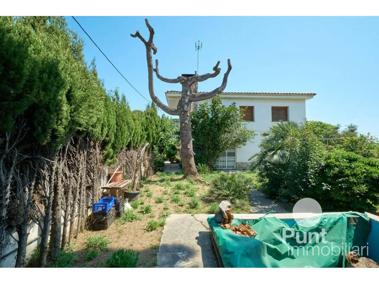 Vista exterior de Casa o chalet en venta en Premià de Dalt con Piscina