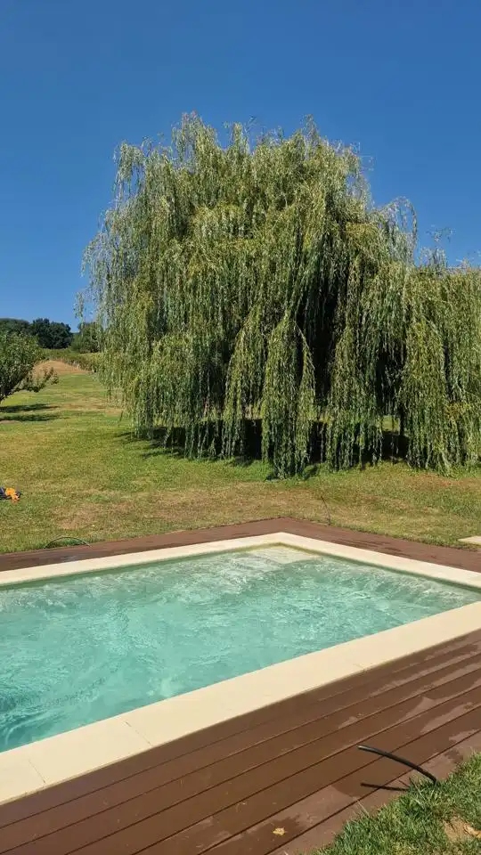 Casa amb jardí de lloguer a Barrio la Ventilla, imagen 16