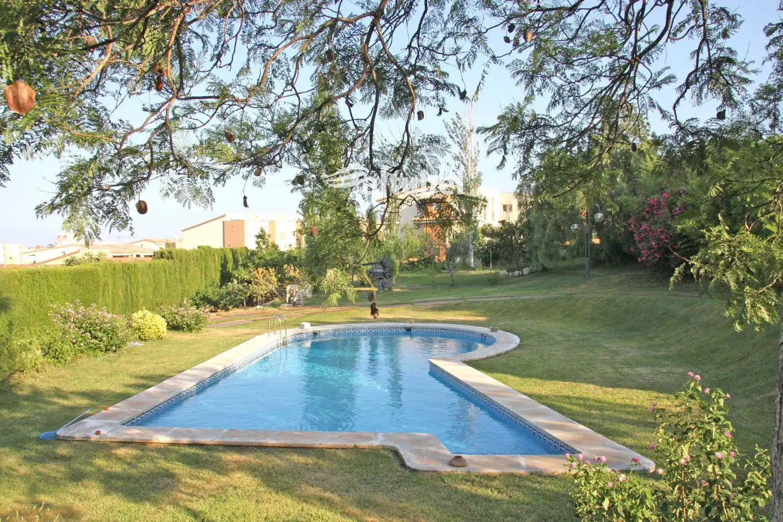 Swimming pool of Houses for sale in Peñíscola / Peníscola  with Terrace, Storage room and Swimming Pool
