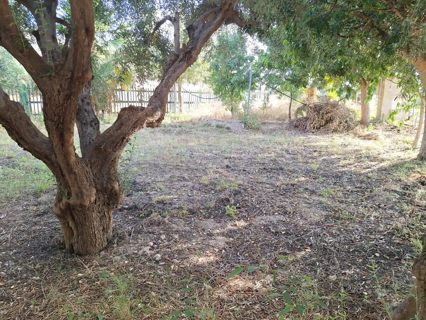 Casa amb jardí en venda a Villamontes - Boqueres, imagen 6