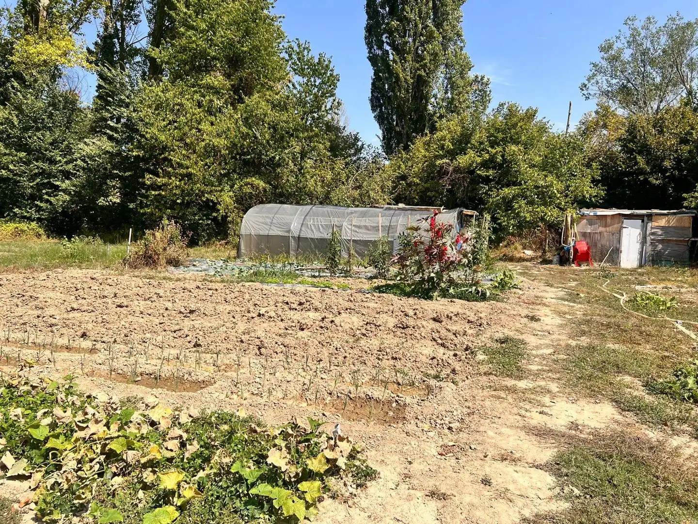 Terreno rústico en venta en Urroz-Villa