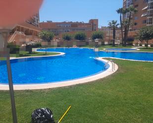 Piscina de Pis en venda en Alicante / Alacant amb Aire condicionat, Terrassa i Traster