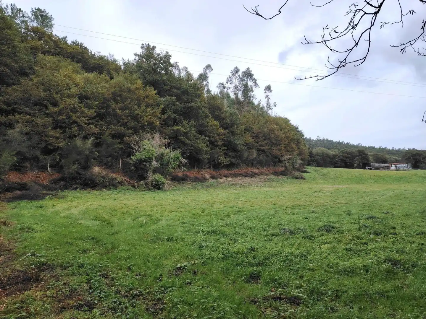Country homes for sale in Negreira