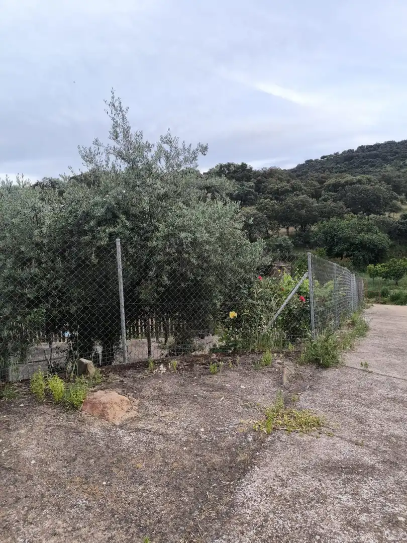 Houses for sale in Fuente Obejuna  with Swimming Pool