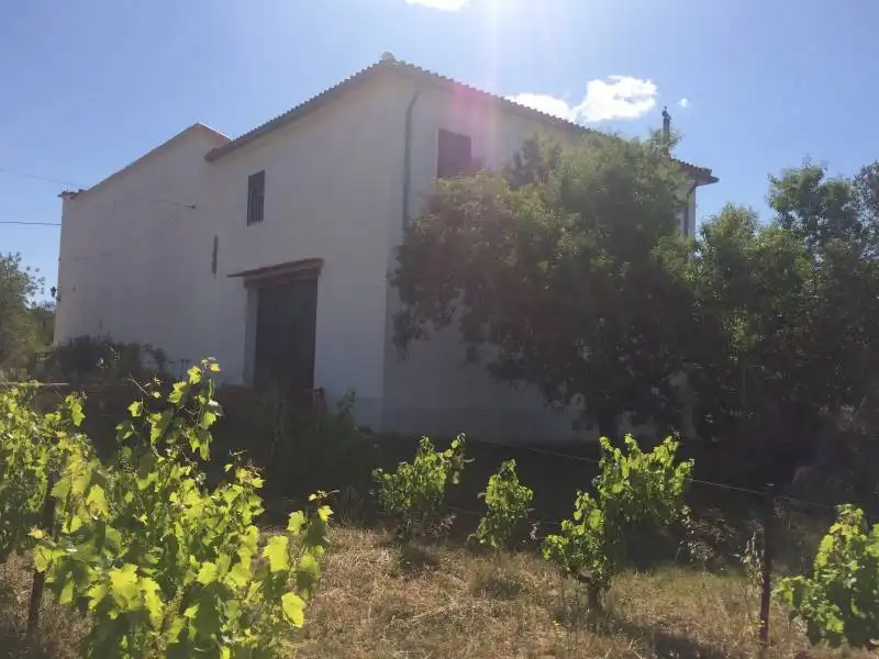 Country homes for sale in El Tancat - Mas d'en Gual