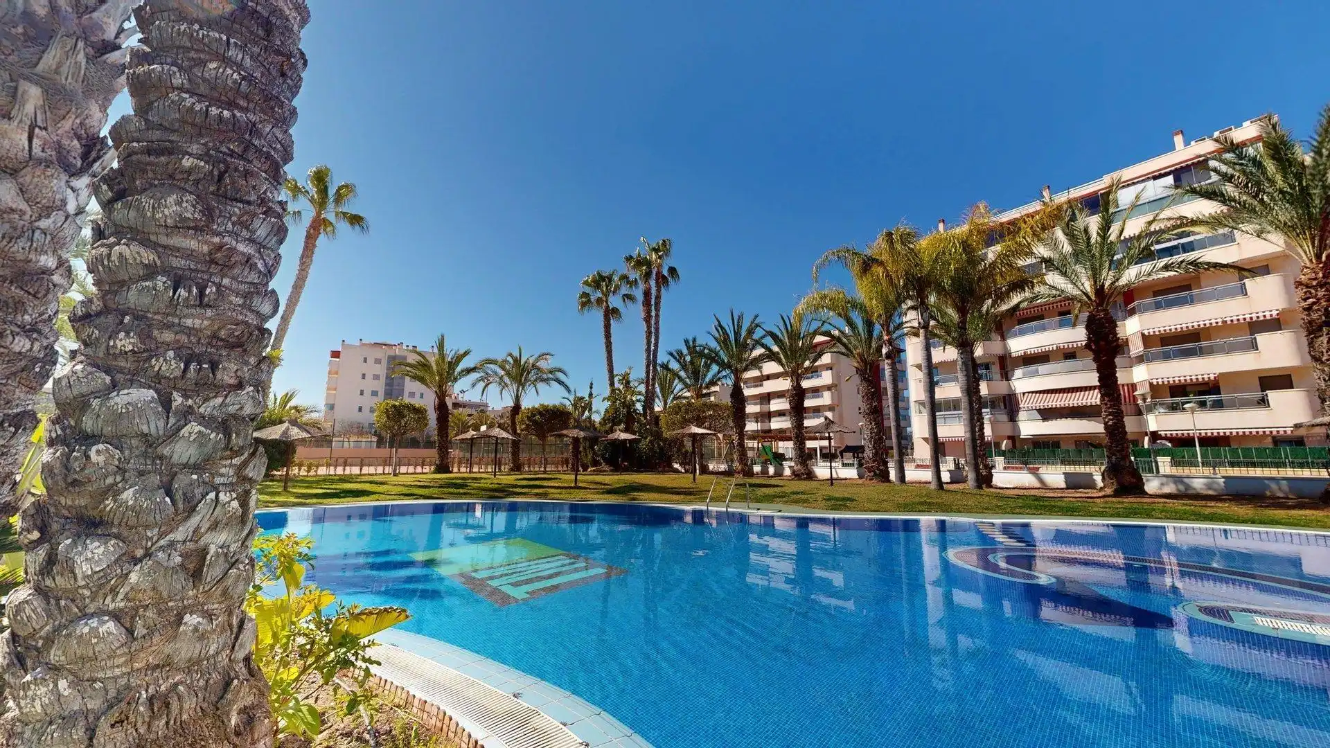 Swimming pool of Apartments for rent in Elche / Elx  with Air Conditioner, Heating and Private garden