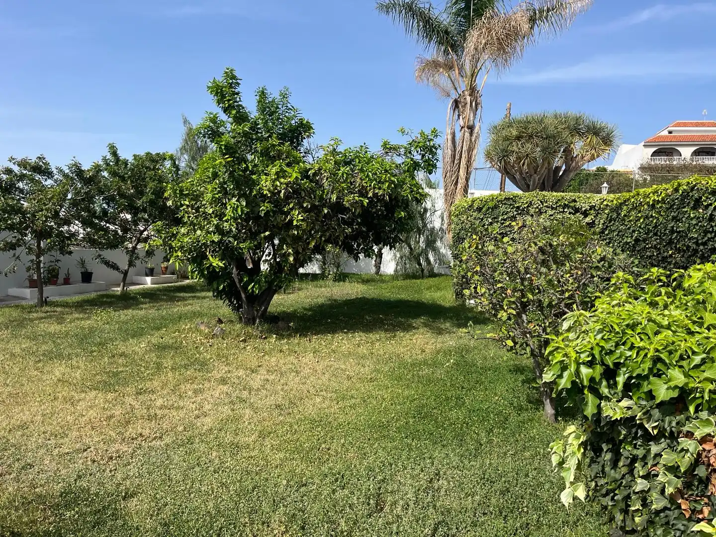 Houses for sale in Santa Úrsula  with Private garden, Terrace and Swimming Pool