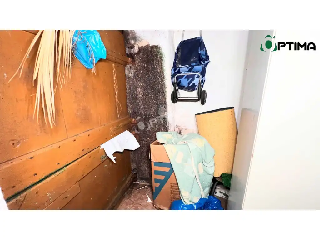 Houses for sale in Campus Sur - Santa Marta