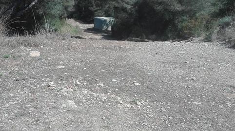 TERRENO RUSTICO, imatge 2