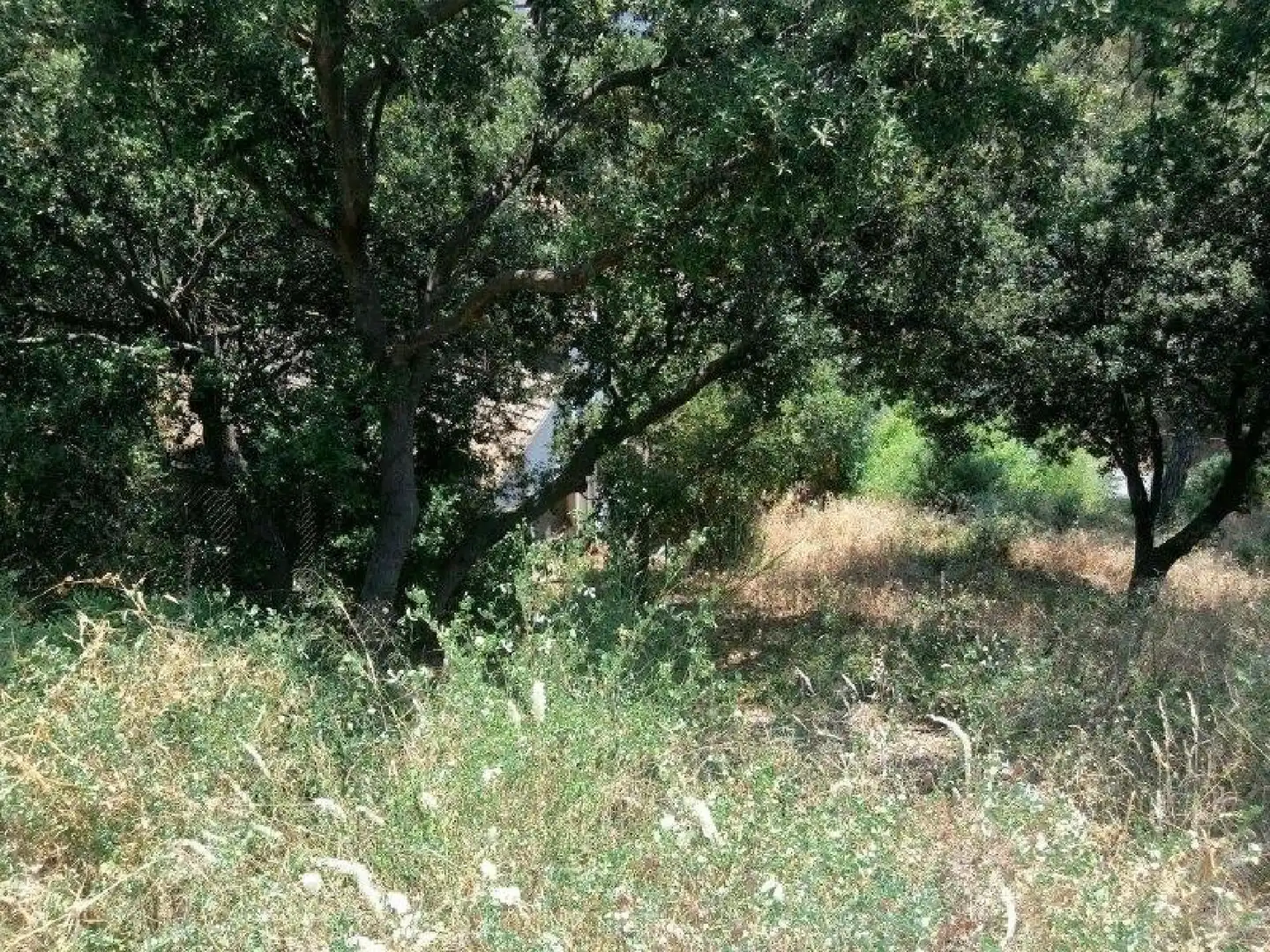 Terrenys i solars en venda a Can Massuet del Far, imagen 6
