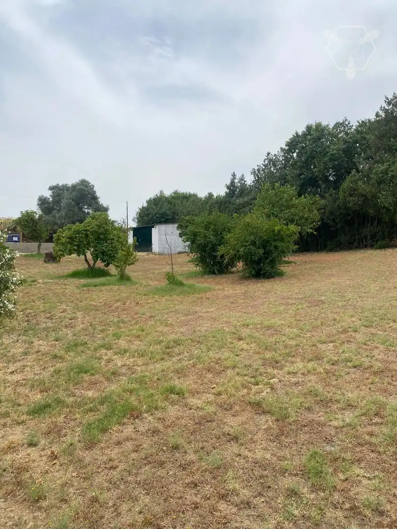 Casa o chalet en venta en Gibraleón
