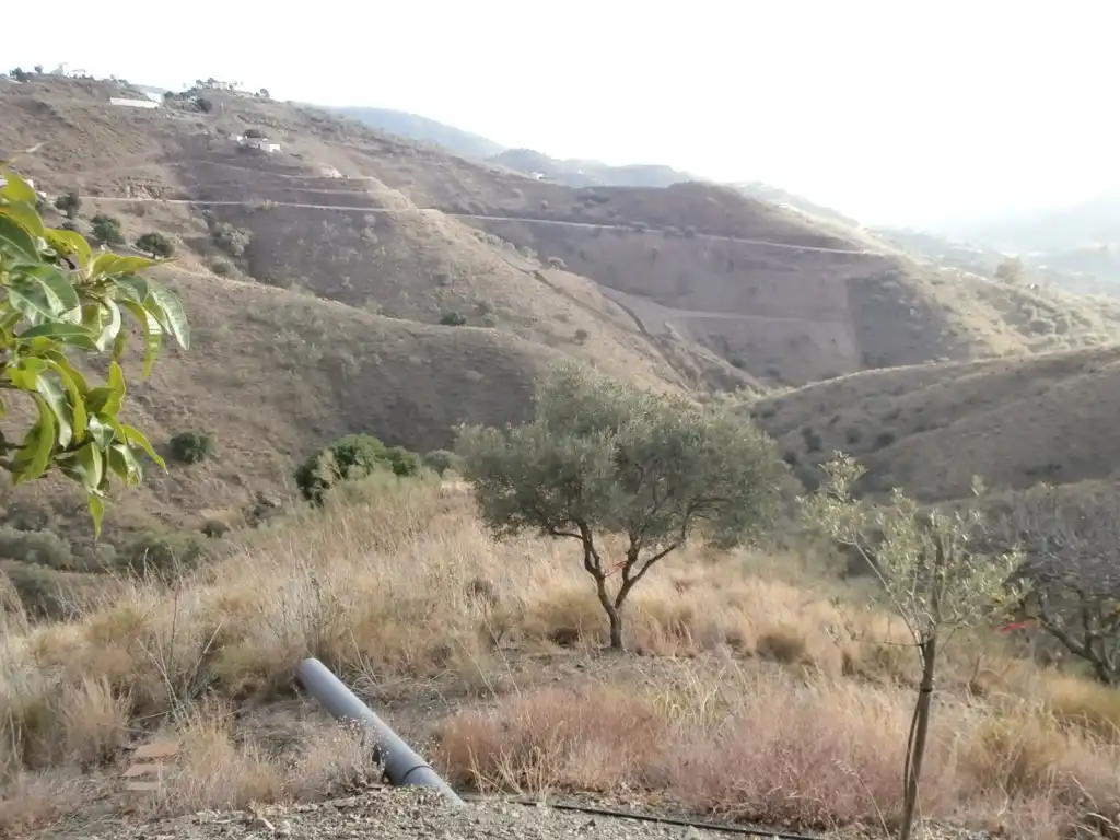 Terrenys i solars en venda a Canillas de Aceituno, imagen 15