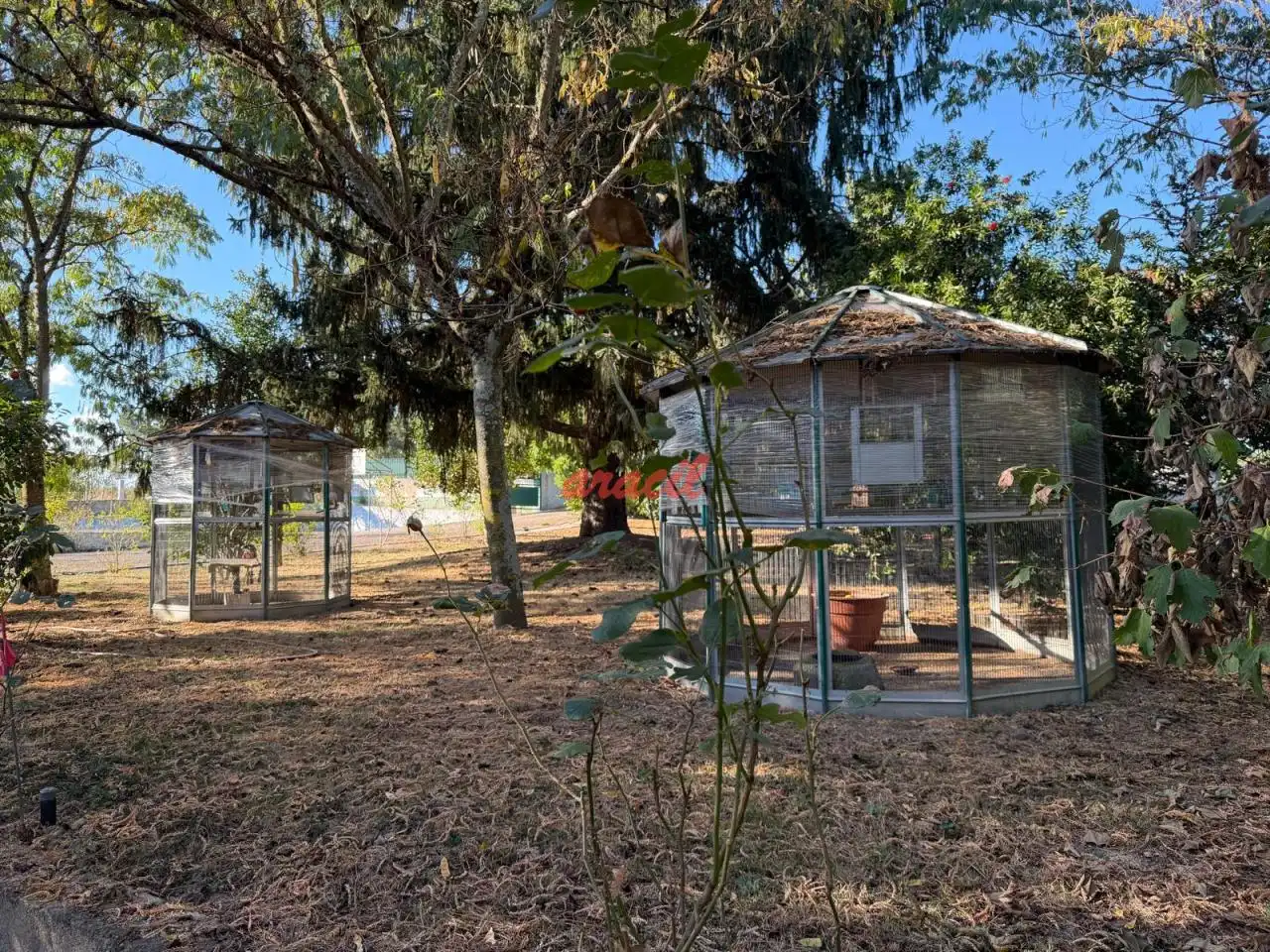 Chalet con piscina en venta en Coles, imagen 13