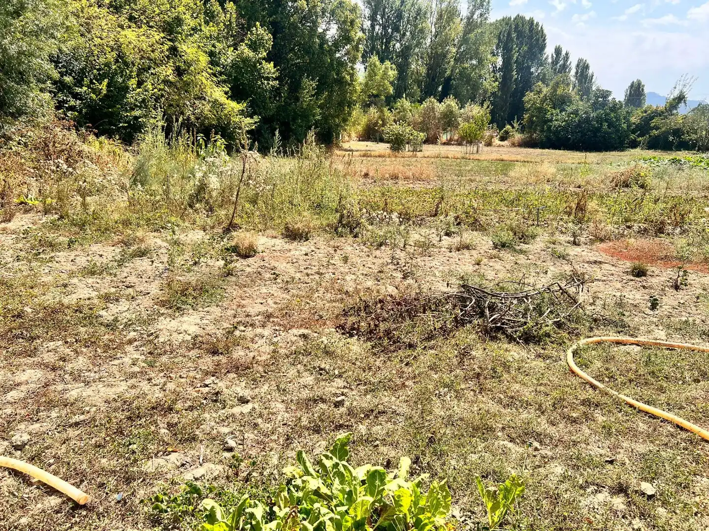 Terreno rústico en venta en Urroz-Villa, imagen 5