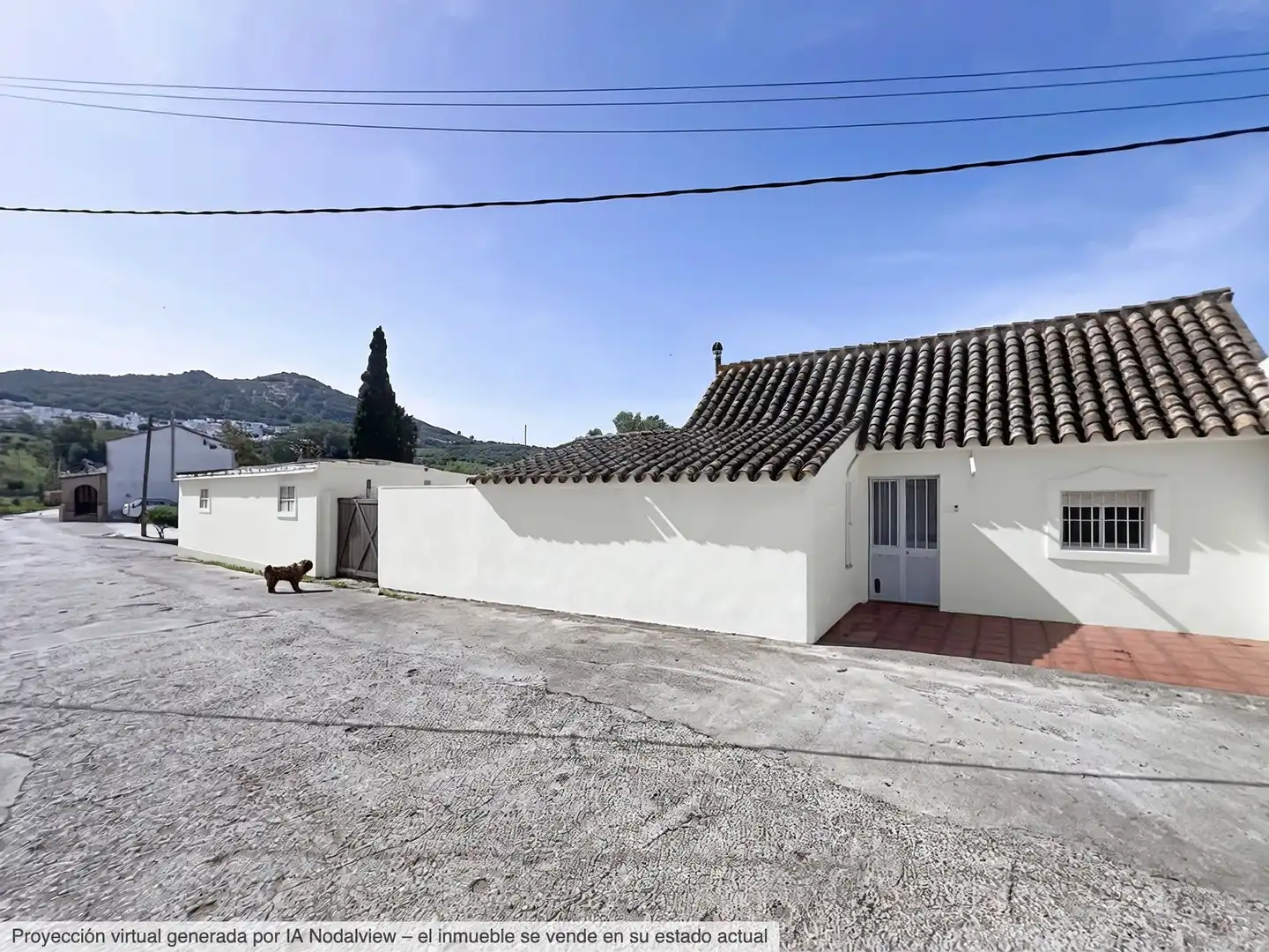 Country house for sale in Facinas, imagen 31