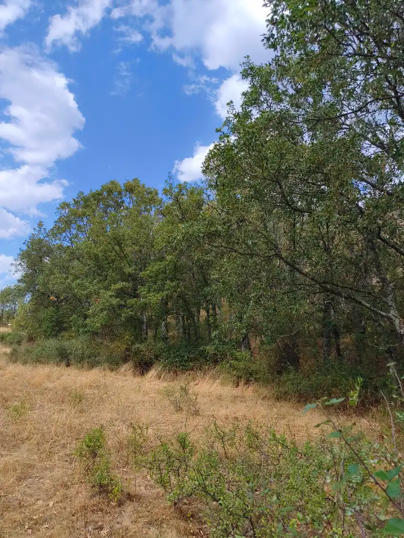 Terreno en venta en Piñuécar-Gandullas