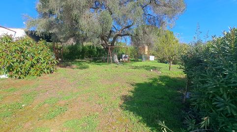 Chalet con parcela de 3000 metros.
