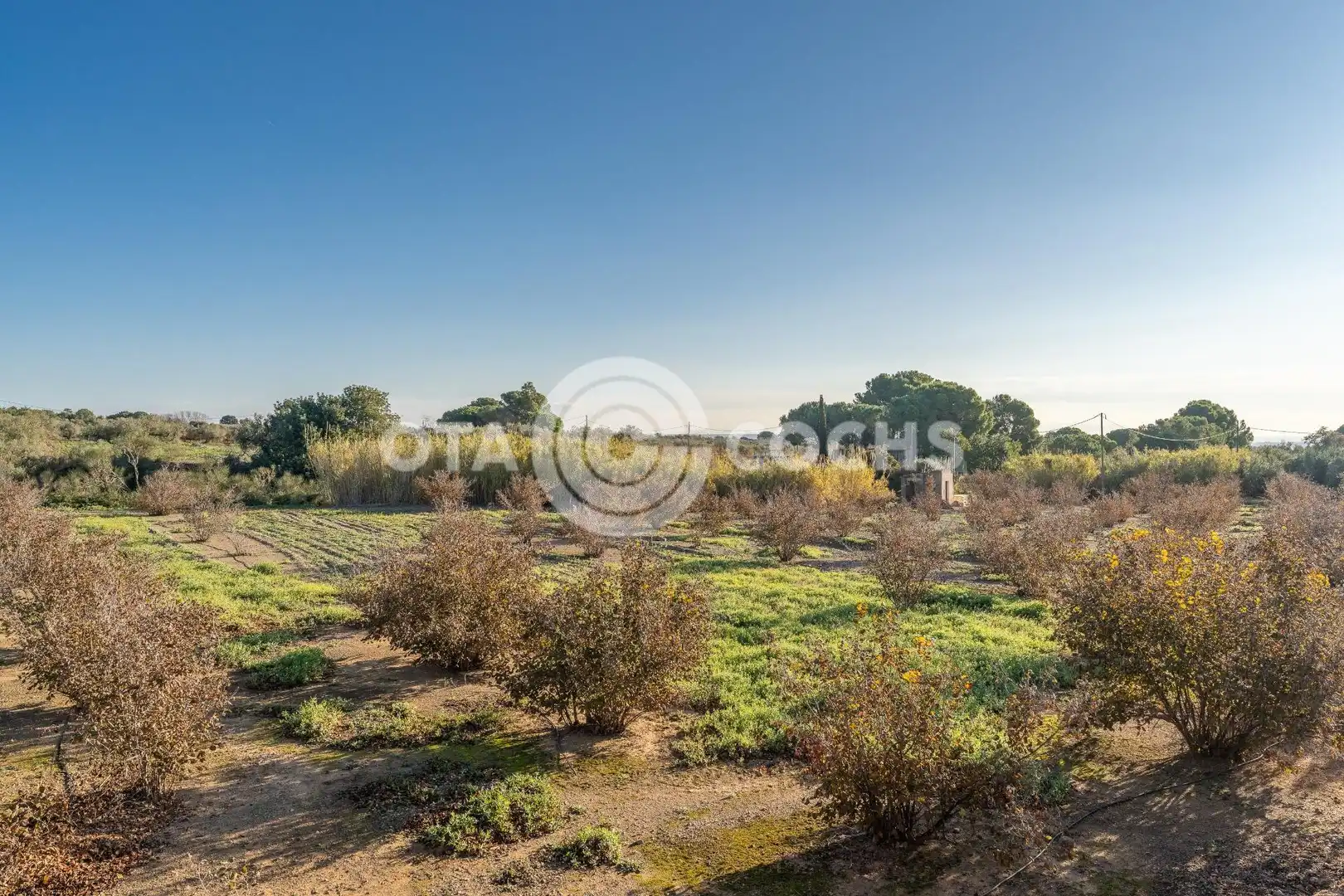 Finca rústica en venta en Castellvell del Camp
