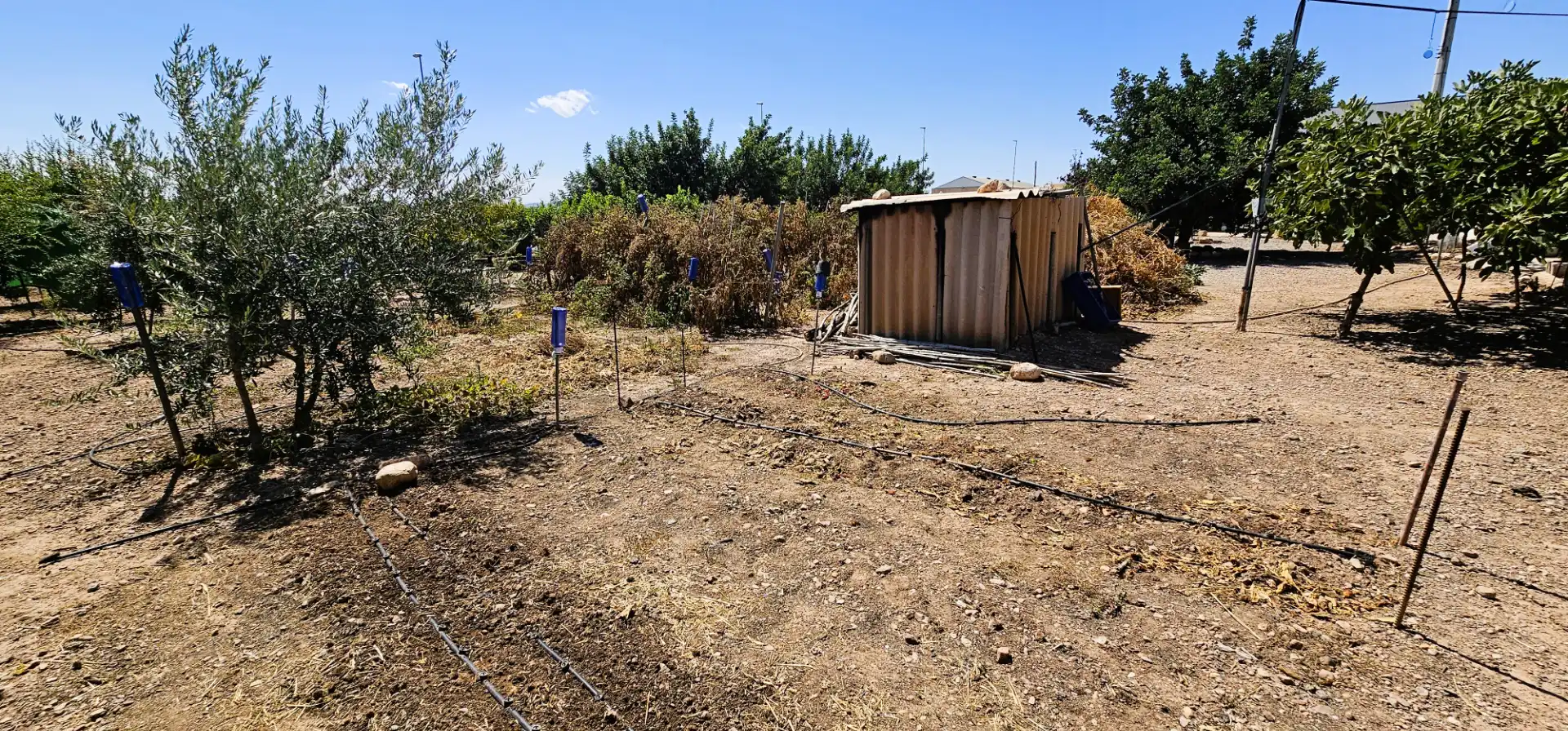 Nave industrial en venta en Totana