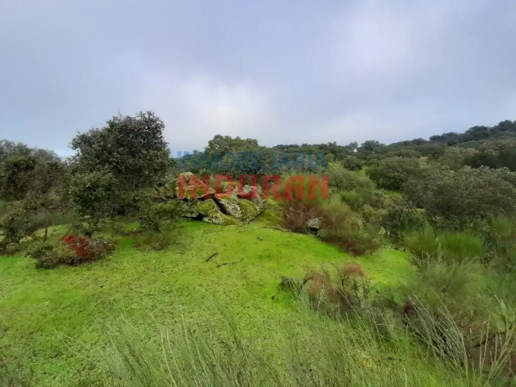 Finca rústica en venta en Millanes
