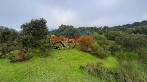 Foto 2 de Finca rústica en venta en Millanes, Cáceres