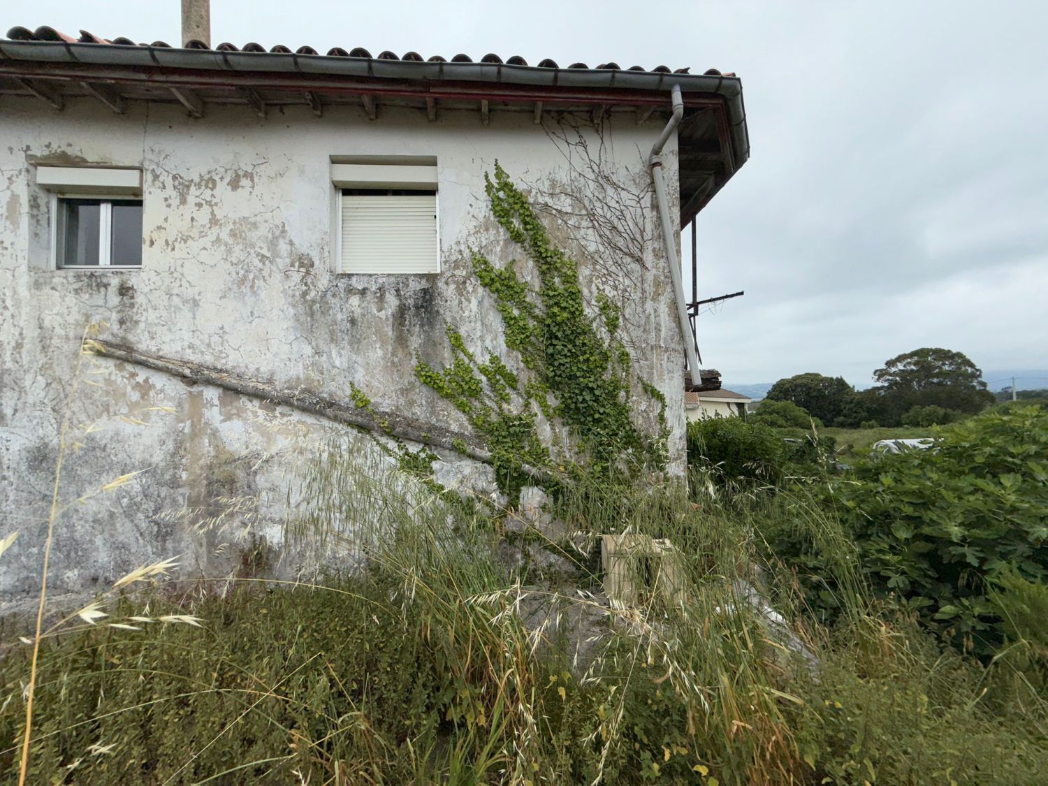 Vista exterior de Casa o chalet en venta en Argoños 