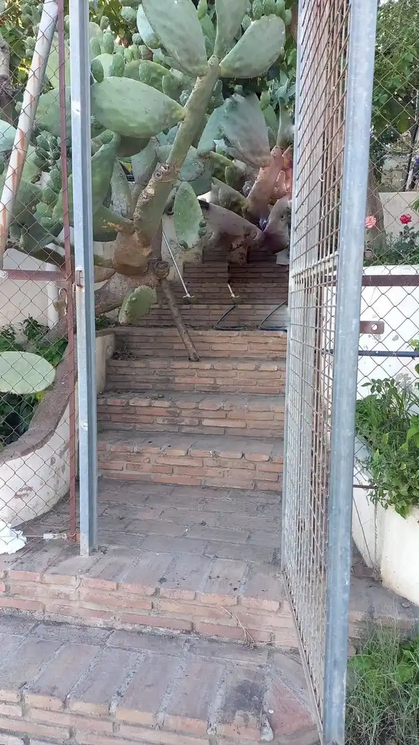 Casa in vendita a Diseminado Pinar Bajo, imagen 14