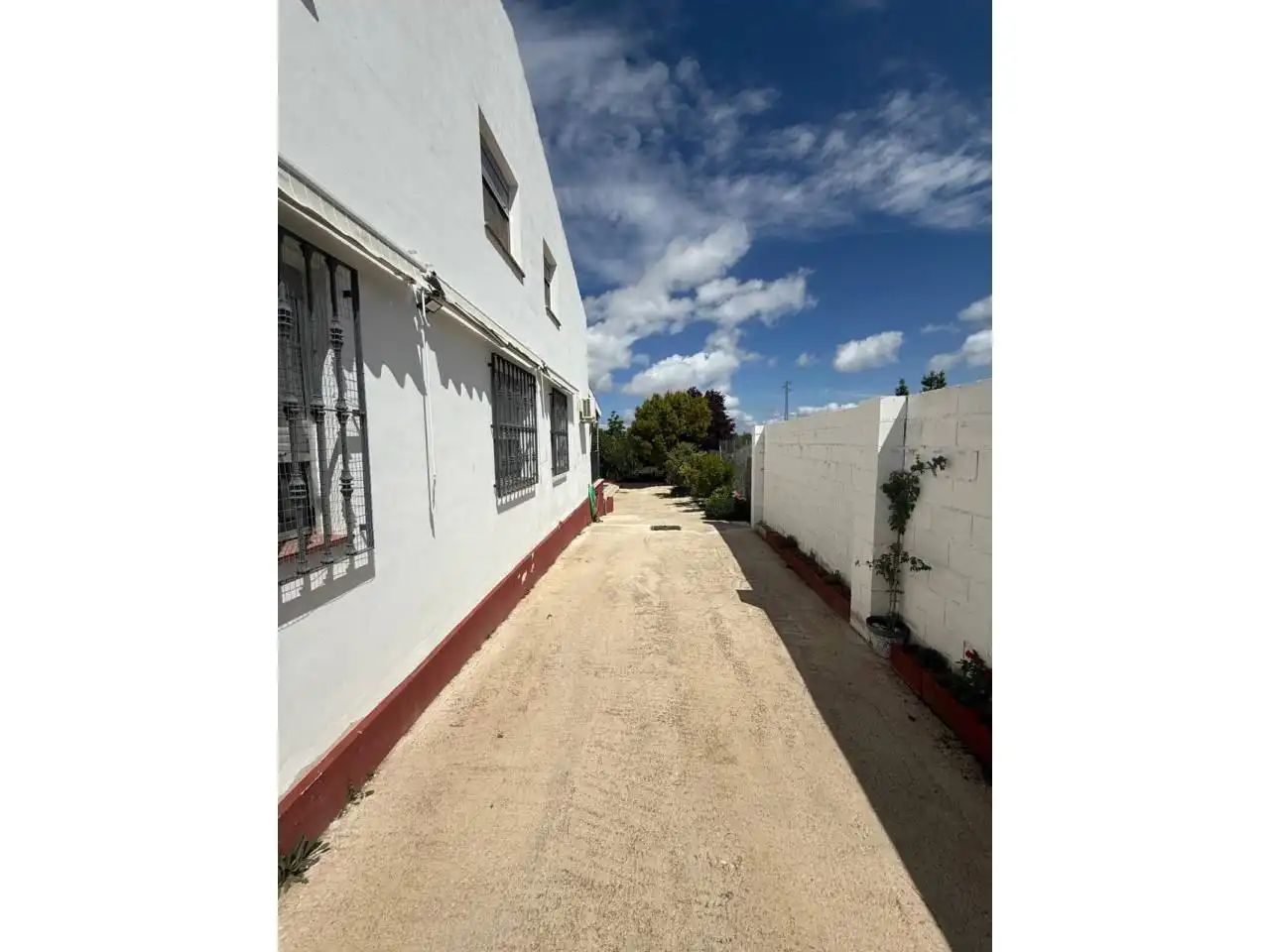 Vista exterior de Casa o chalet en venta en Sabiote con Jardín privado y Piscina
