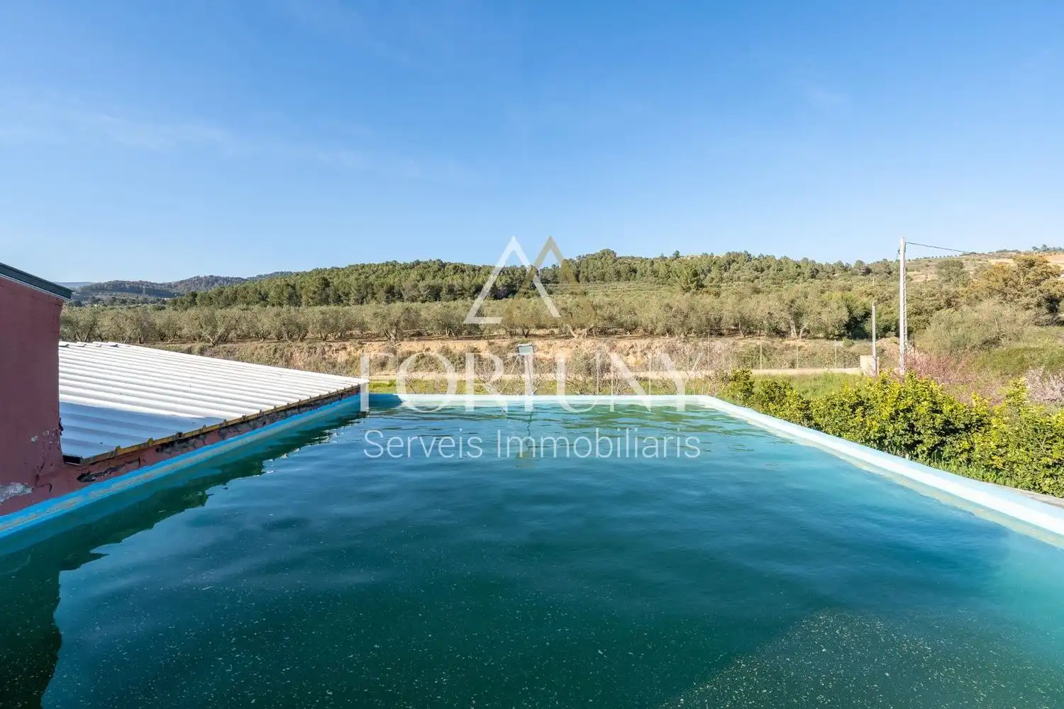 Piscina de Casa o xalet en venda en L'Aleixar
