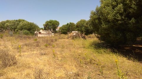 PARCELA  DE 560 M INDIVISA REGISTRADA RANA VERDE CHICLANA