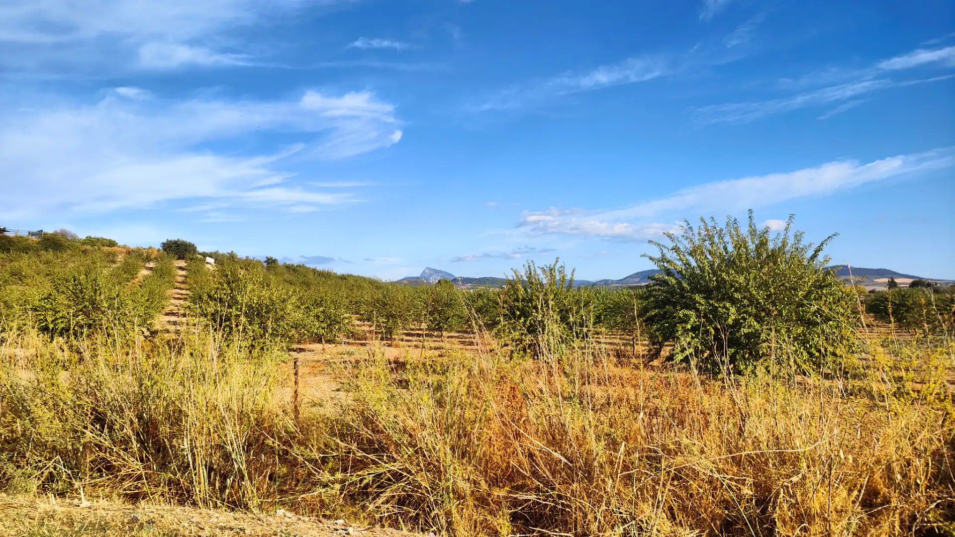 Rural land for sale in N/A, imagen 3