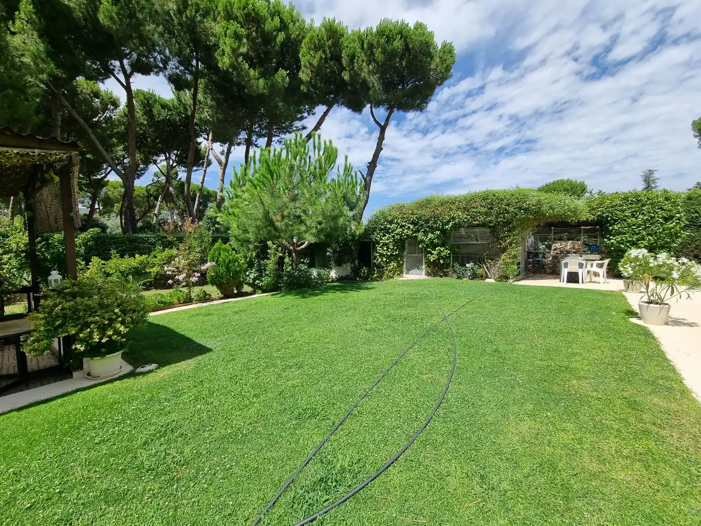 Jardí de Casa o xalet en venda en Boadilla del Monte amb Calefacció, Jardí privat i Terrassa