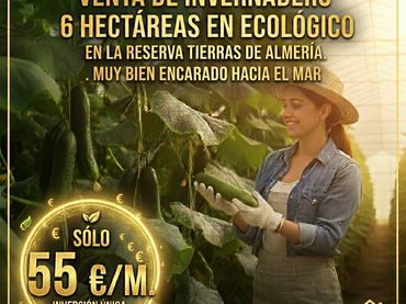 Terreno rustico in vendita a Paraje la Cumbre 35