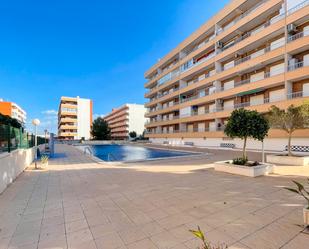 Piscina de Apartament en venda en Torrevieja amb Aire condicionat, Calefacció i Terrassa
