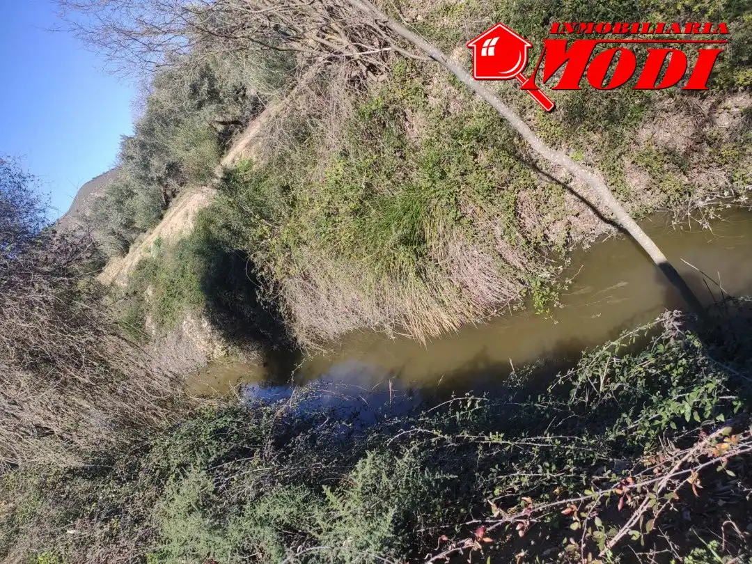 Terrenys i solars en venda a Villamena, imagen 8