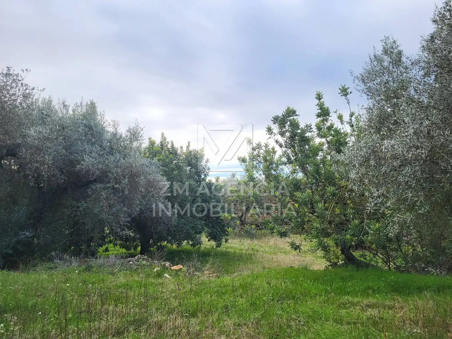 Terreno rustico in vendita a Cabanes, imagen 5