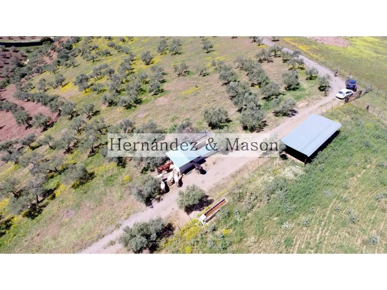 Maison à vendre à Calle Arroyo de las Piedras, 1, imagen 49