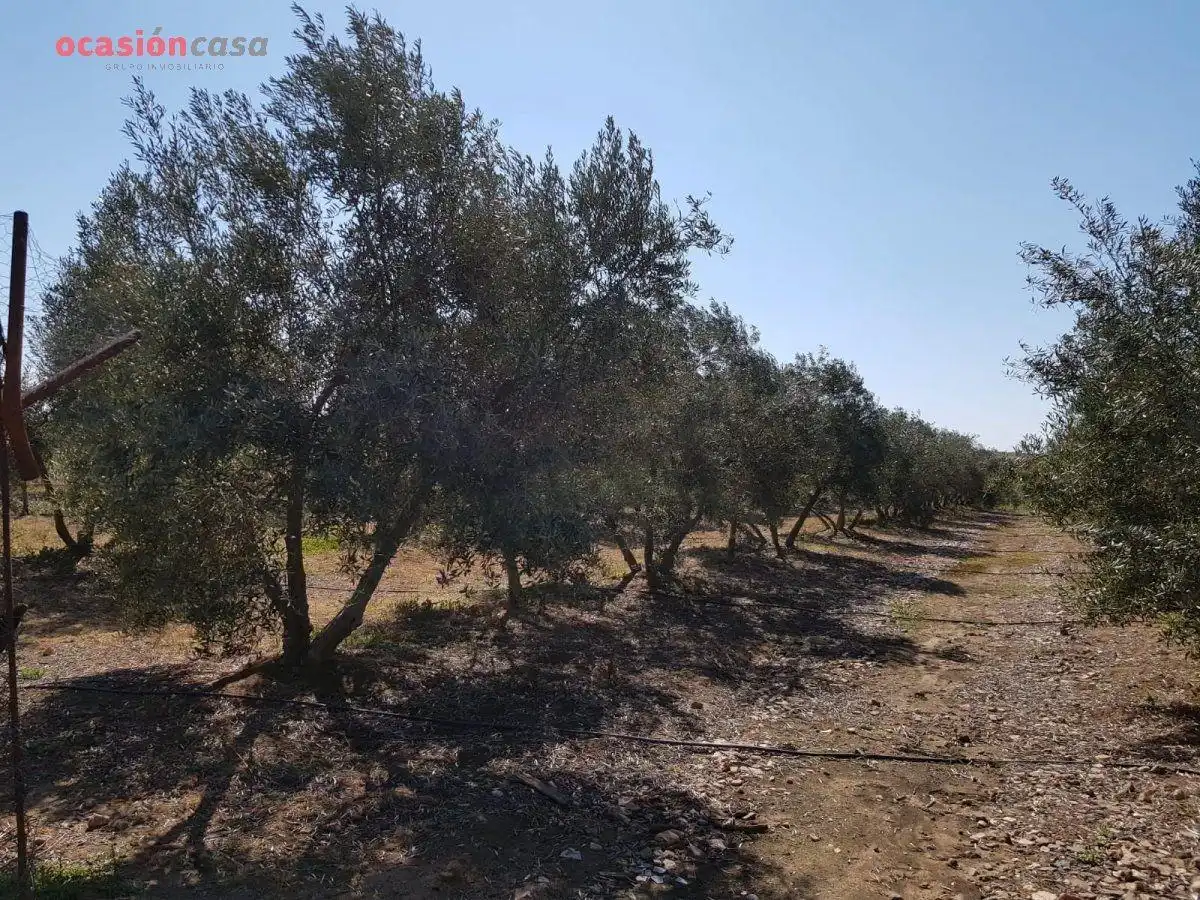 Villa con piscina in vendita a Añora, imagen 45