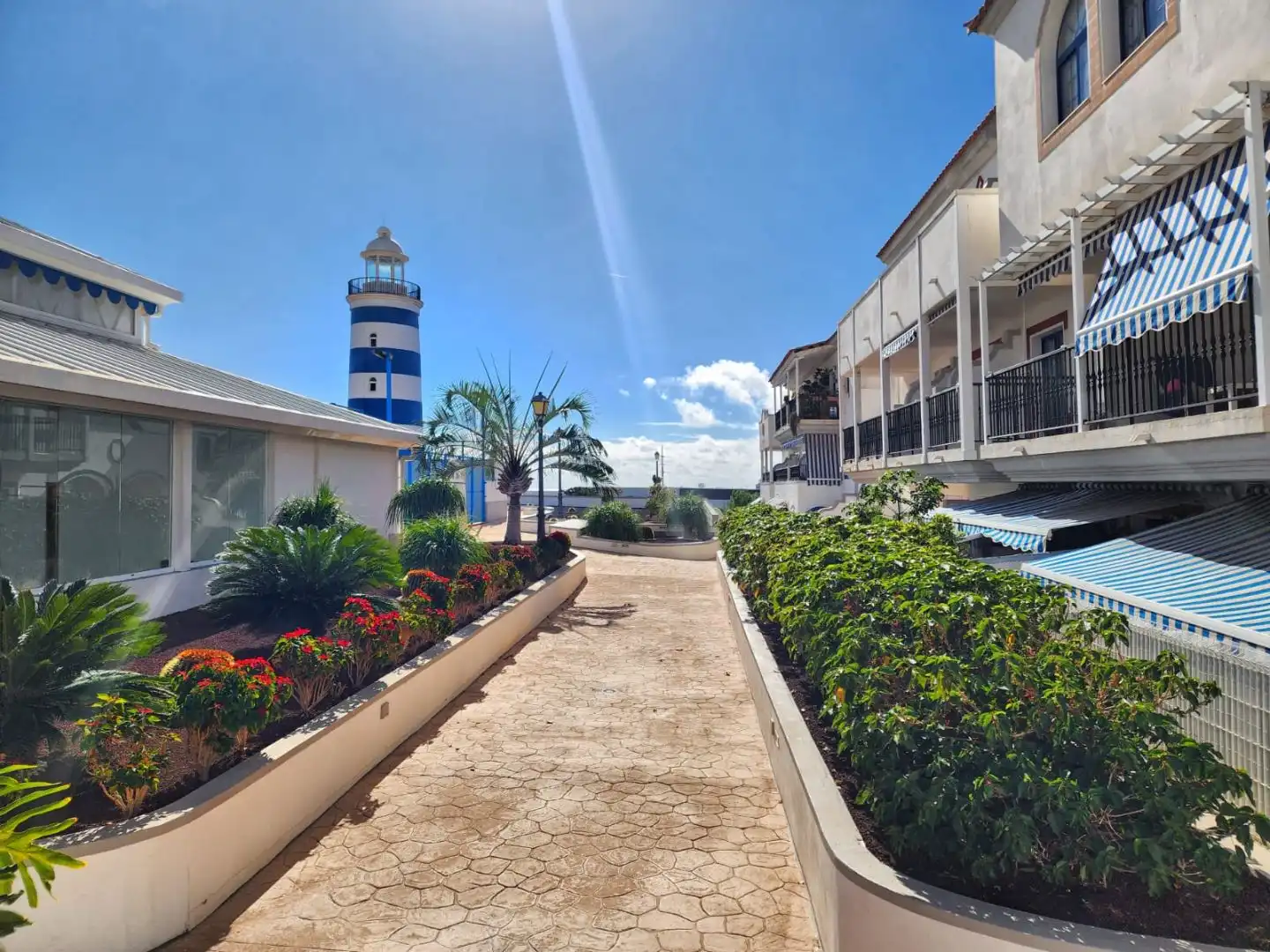 Apartamento con piscina en venta en Mencey Tegueste 20, imagen 66
