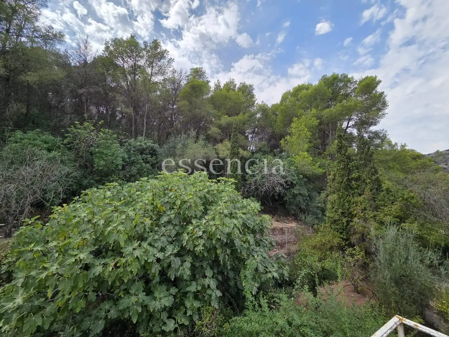 Chalet con terraza en venta en Ròtova, imagen 45