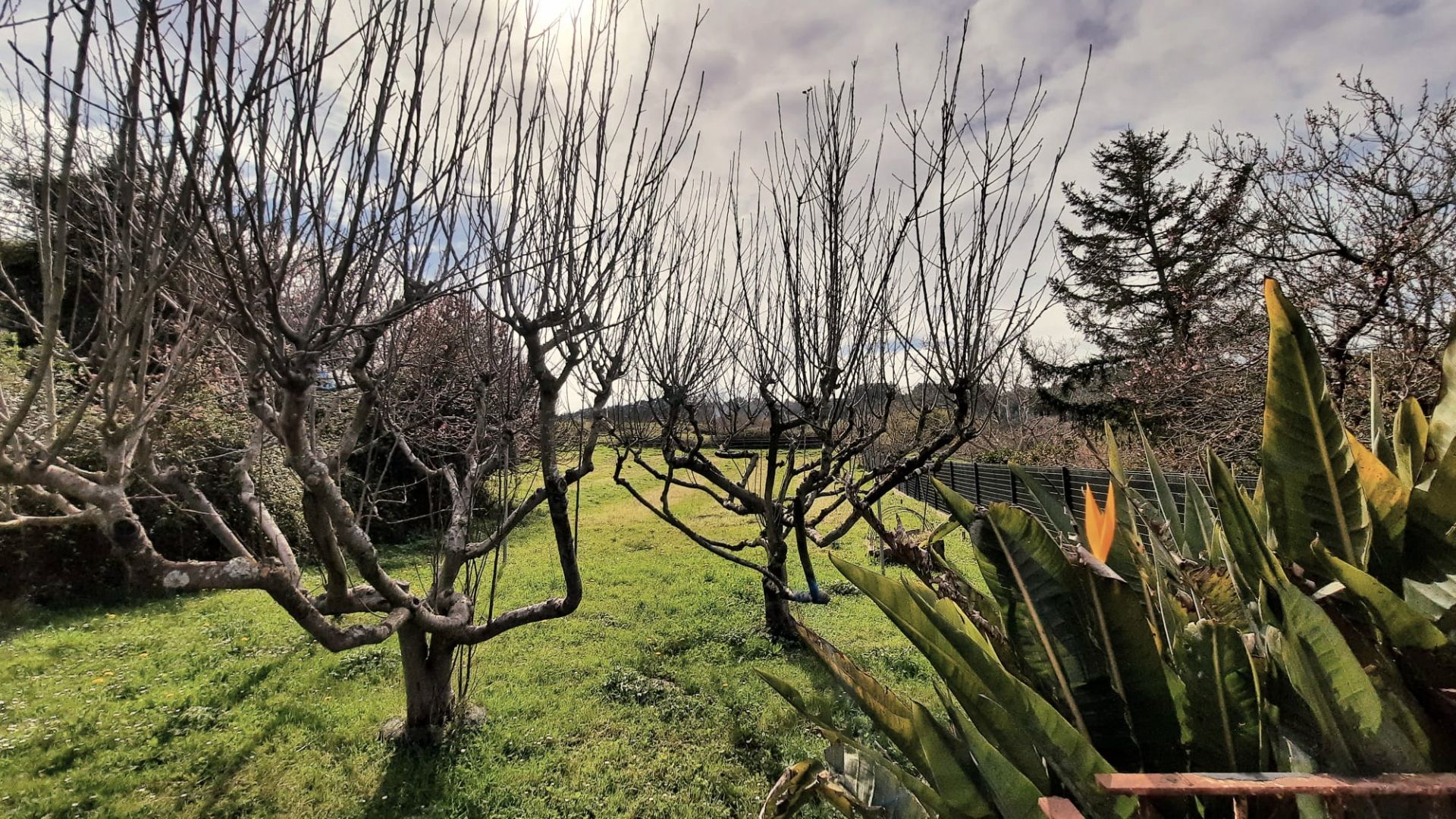 Garden of Country house for sale in Plentzia  with Private garden