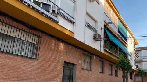 Foto 2 de Planta baixa en venda a Puerto Rico, Bailén, Jaén