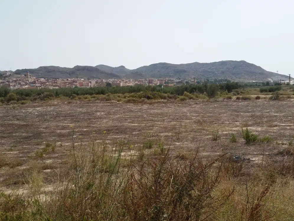 Terreno industrial en venta en Agost