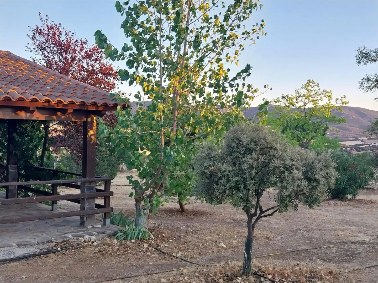Casa en venta en Viso del Marqués, imagen 7