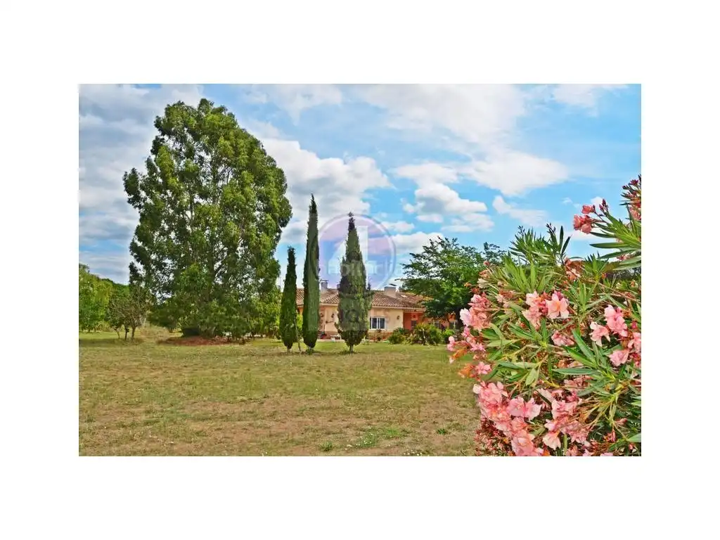 Garten von Haus oder Chalet zum Verkauf in Llagostera