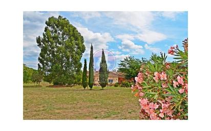 Garden of House or chalet for sale in Llagostera