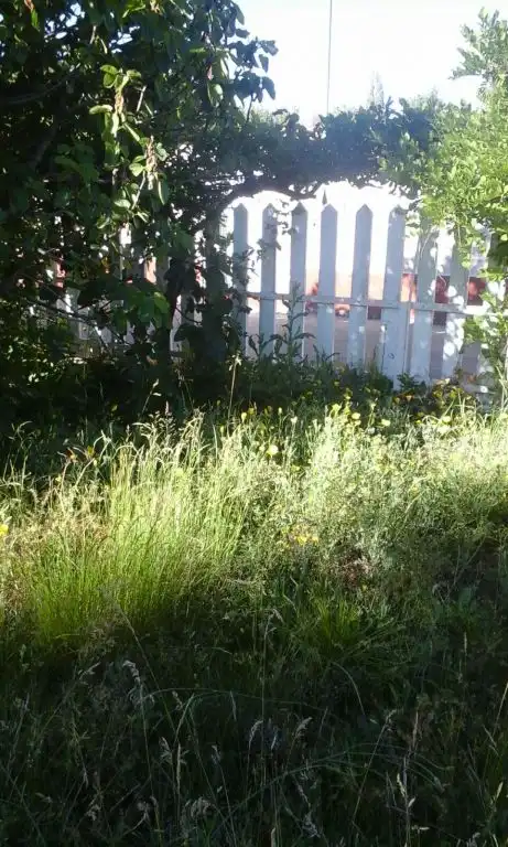 Terreni e lotti in vendita a Cacabelos, imagen 8