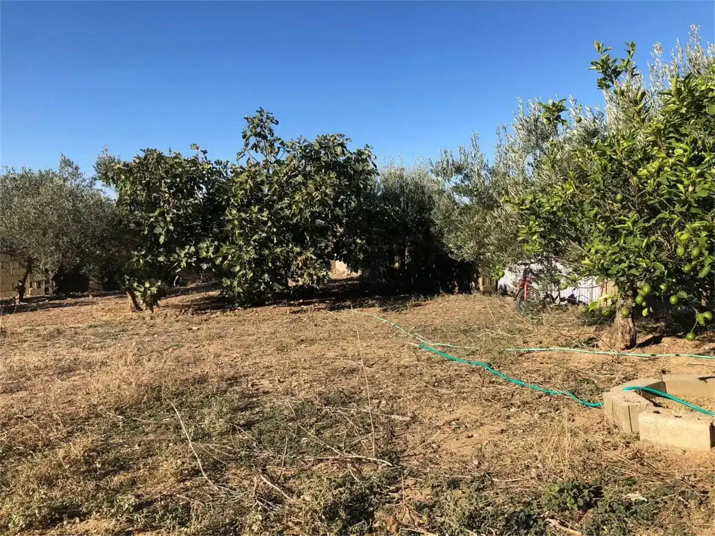 Land for sale in Torrecillas de la Tiesa